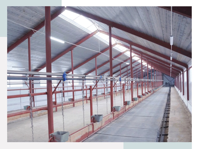 Строительство коровников в Малгобеке от 619 руб.