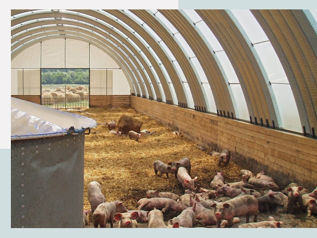 Строительство свинарников в Малгобеке