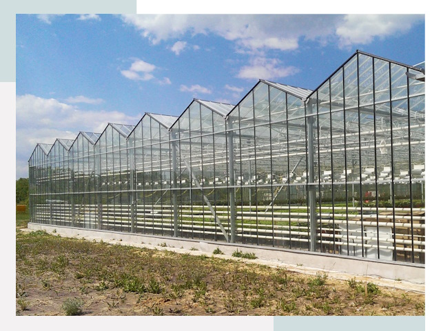 Строительство теплиц в Малгобек от 619 руб. за м²